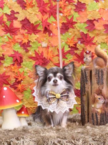 20241108空太くん